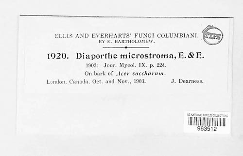 Diaporthe microstroma image